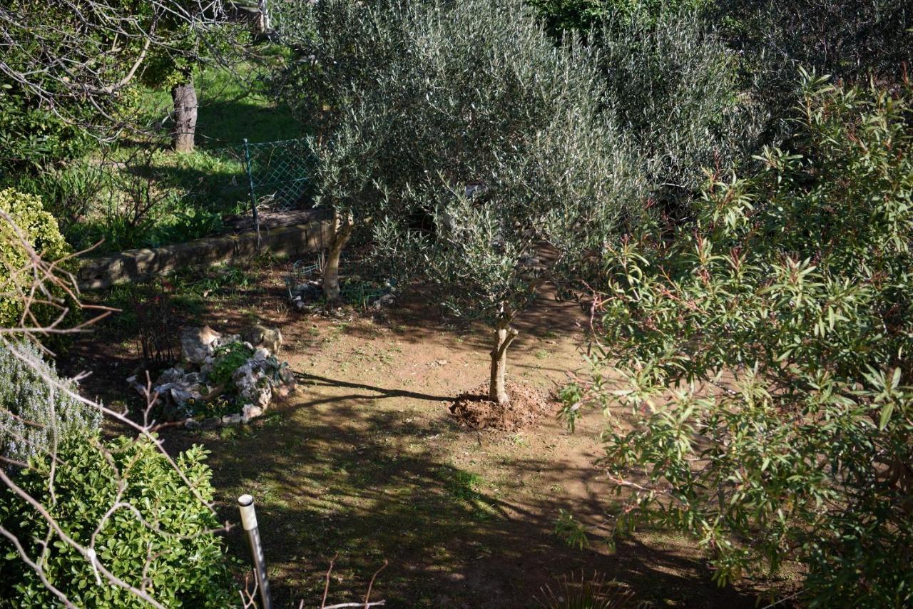 Claudia Apartment Premantura