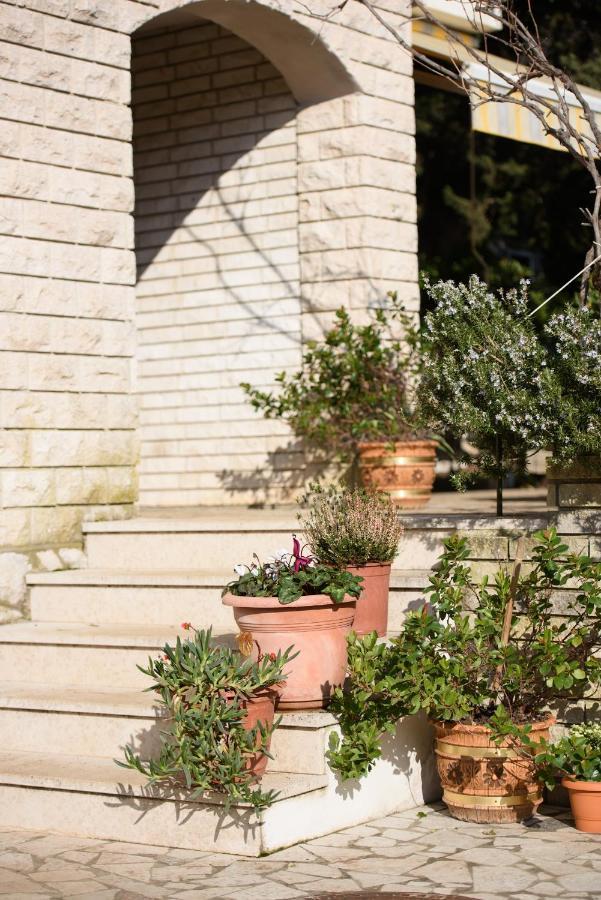 Apartman Claudia Premantura